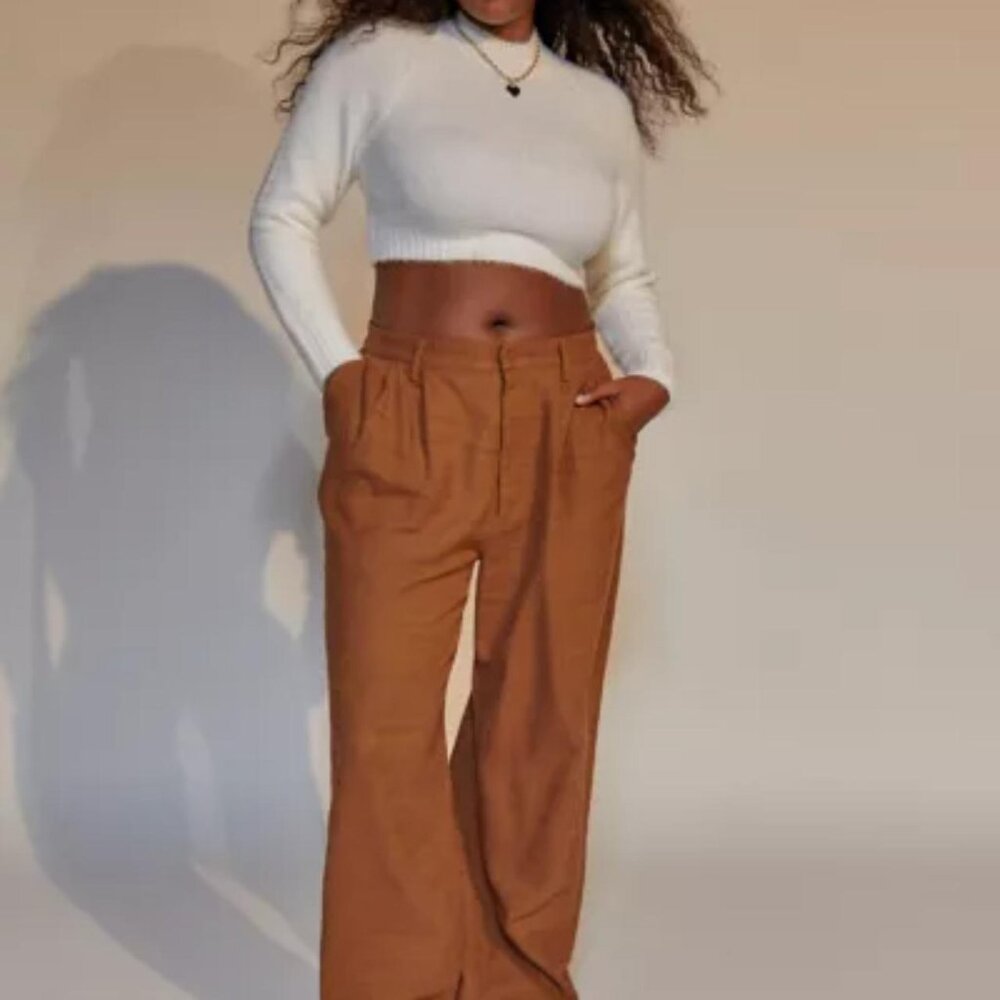 Urban Outfitters Elliot Low-Slung Pleated Pants